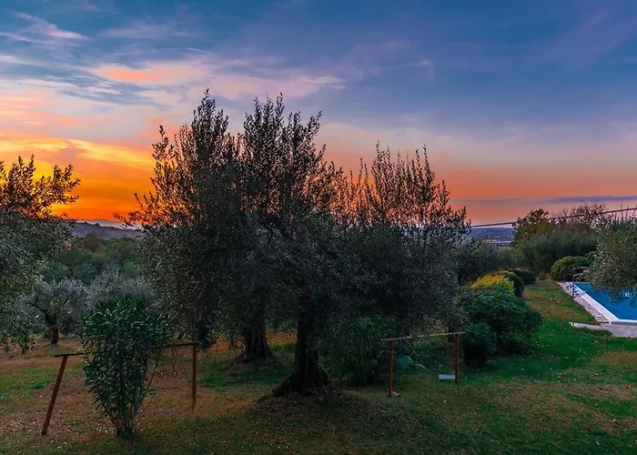 Lemura 16&4, Emma Panicale